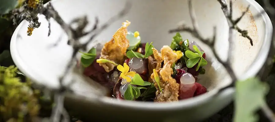 Into the Wild: New Autumn Menu Debuts at Laurel Budapest